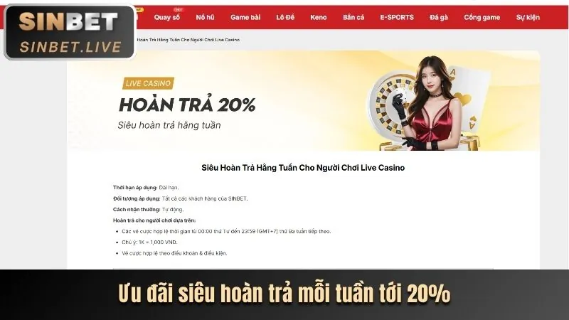 Hoàn trả cược đá gà và casino