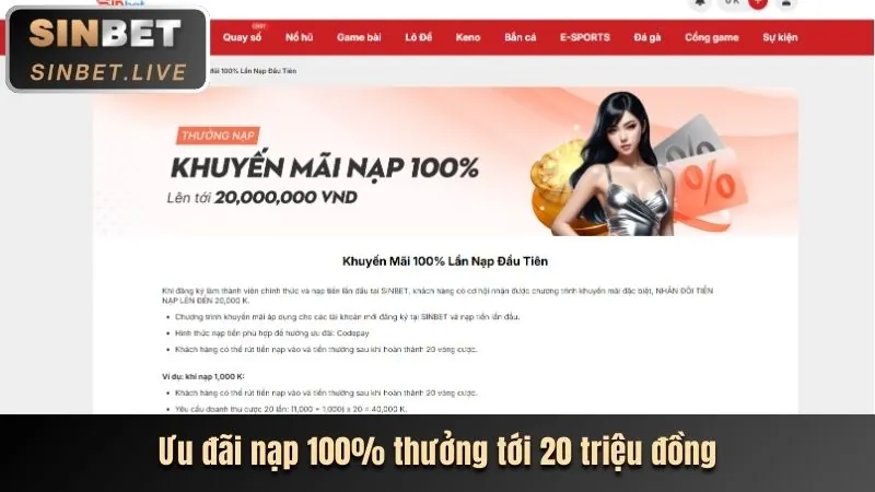 Ưu đãi đặc quyền VIP